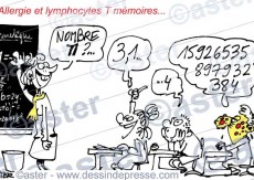 Lymphocytes T mémoire