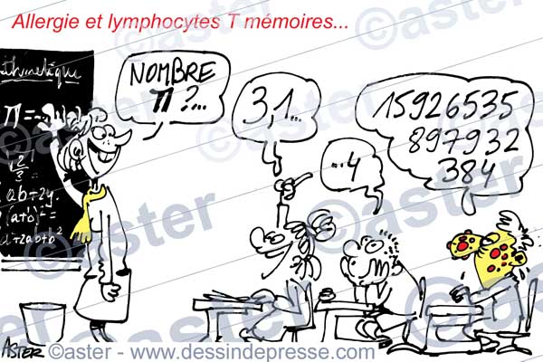 Lymphocytes T mémoire